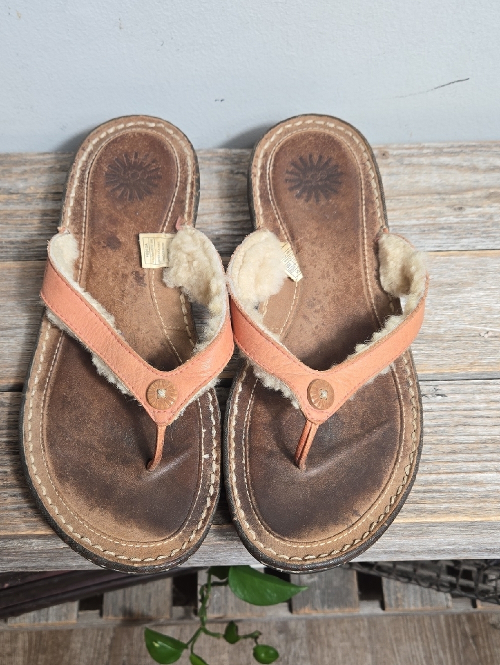 UGG Harmoa Orange Brown Sheepskin Lined Thong Sandals